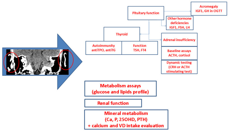 Figure 7