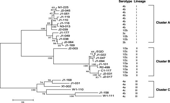 FIG. 3.