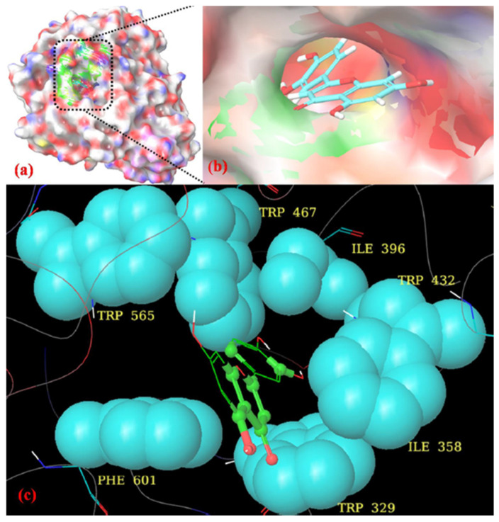 Figure 7