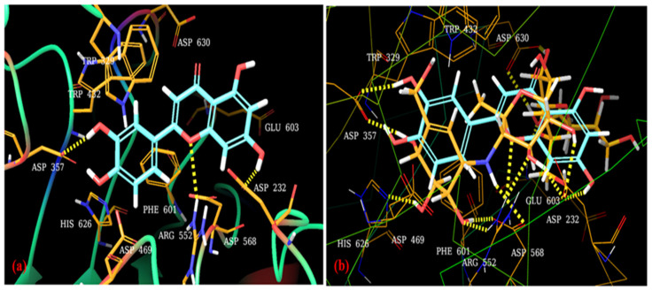 Figure 6