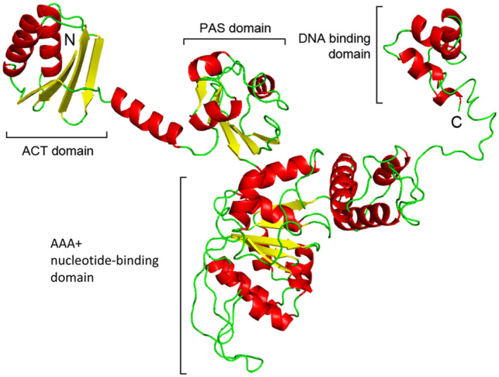 FIGURE 5