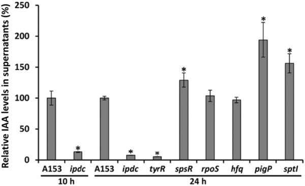 FIGURE 2