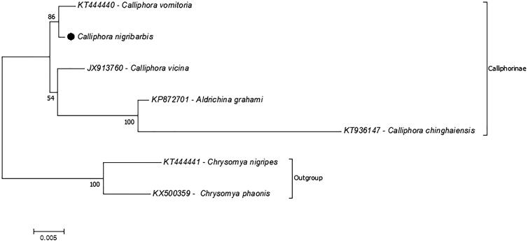 Figure 1.