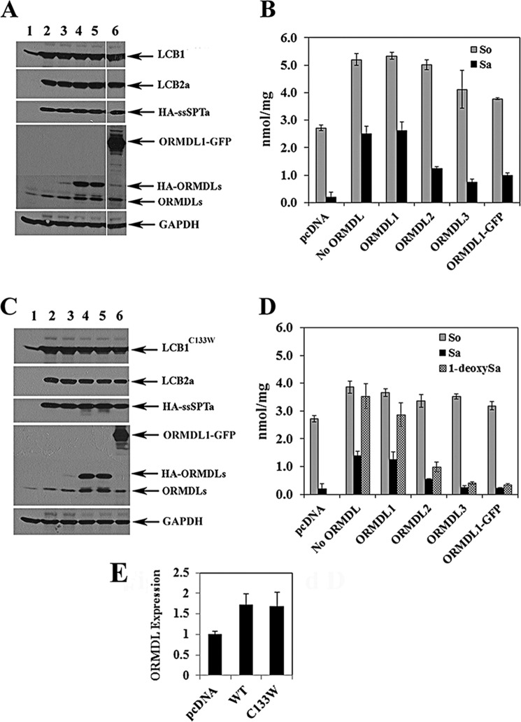 FIGURE 1.