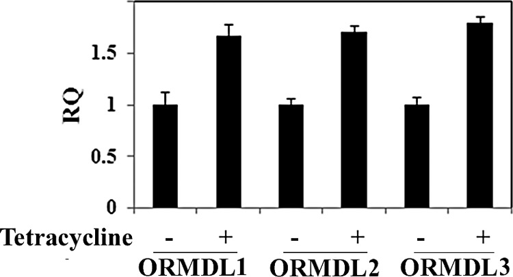 FIGURE 4.