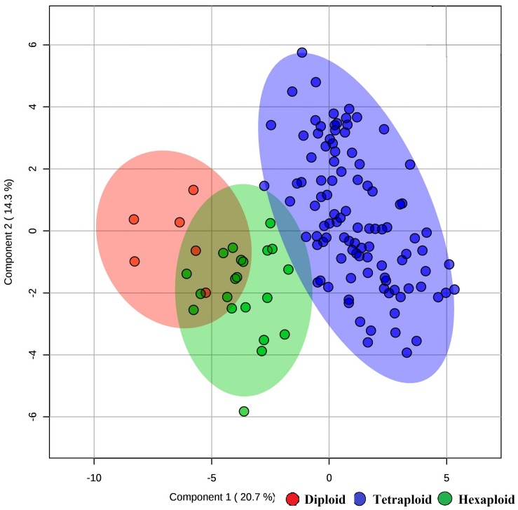 FIGURE 6