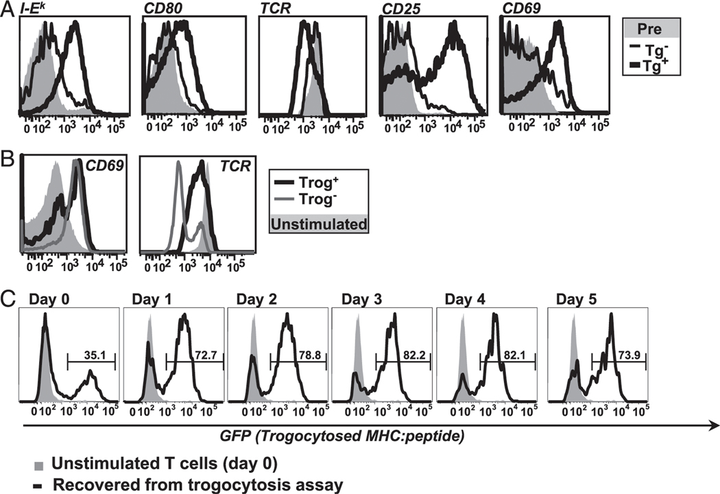 FIGURE 1.