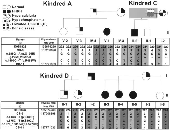 Figure  2