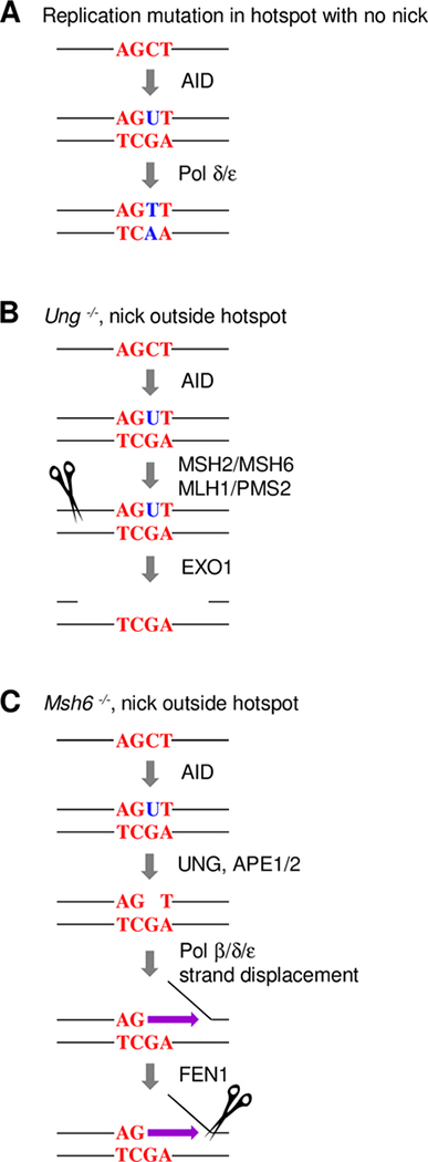 FIGURE 7.