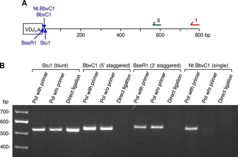 FIGURE 2.