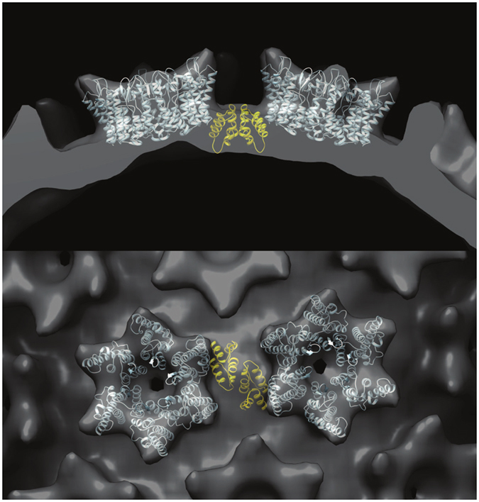 Figure 9