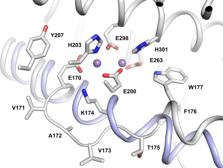 Figure 6—figure supplement 3.