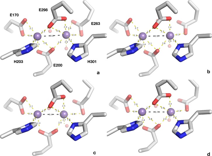 Figure 6—figure supplement 1.