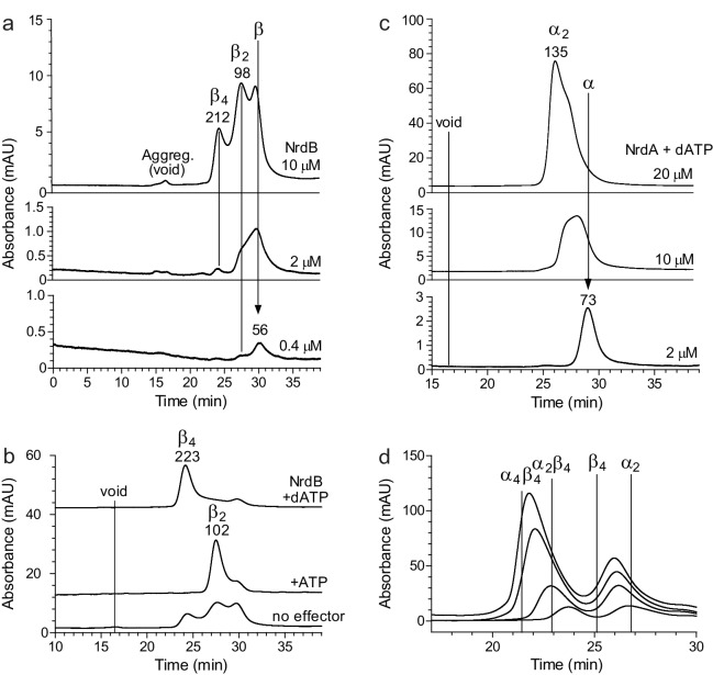 Figure 5—figure supplement 1.