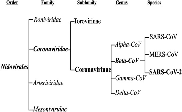 FIGURE 1