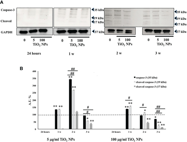 Figure 5