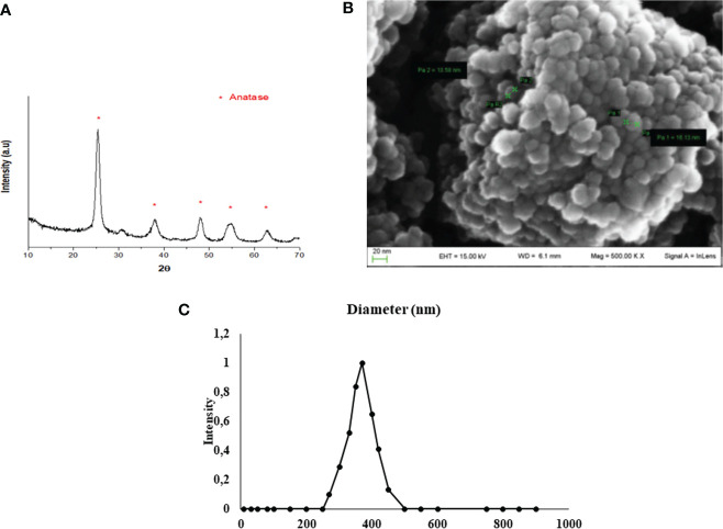 Figure 1