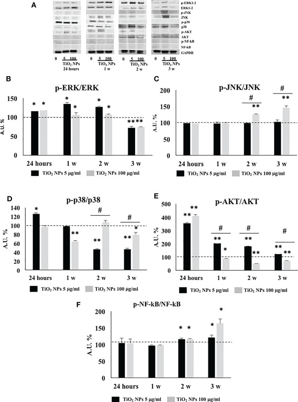 Figure 10