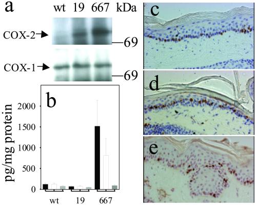 Fig 3.