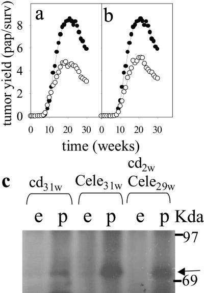 Fig 1.