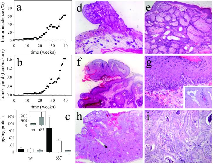 Fig 4.