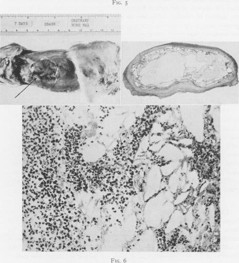 Fig. 5., Fig. 6.