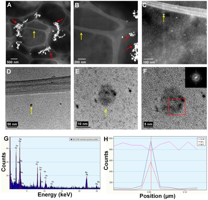 Figure 6