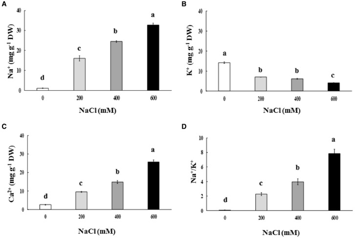 FIGURE 3