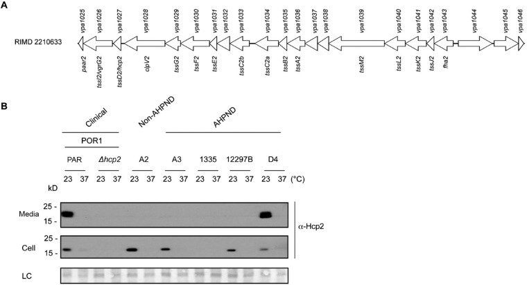 FIG 2