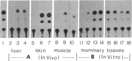 graphic file with name pnas01049-0071-a.jpg