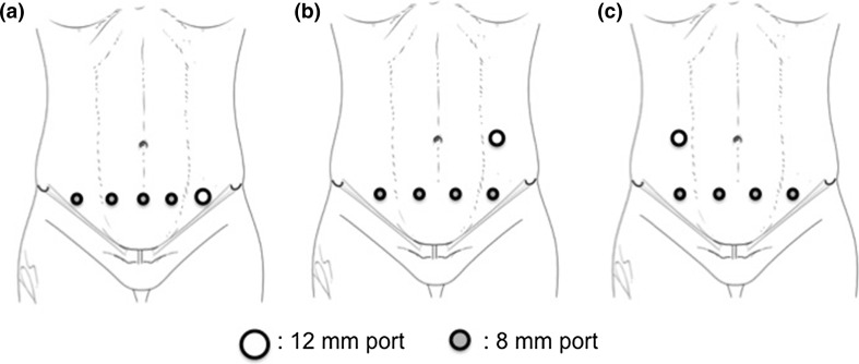 Fig. 1