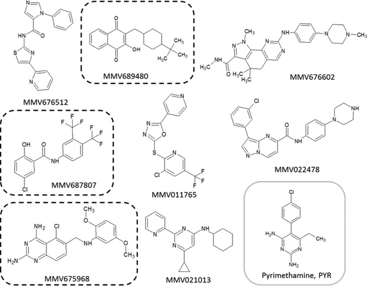 FIG 1