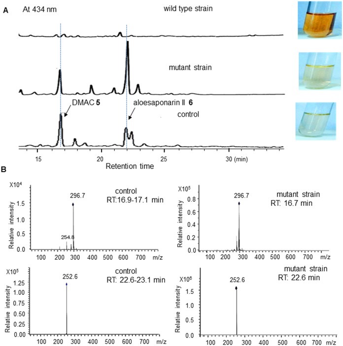 Fig 6