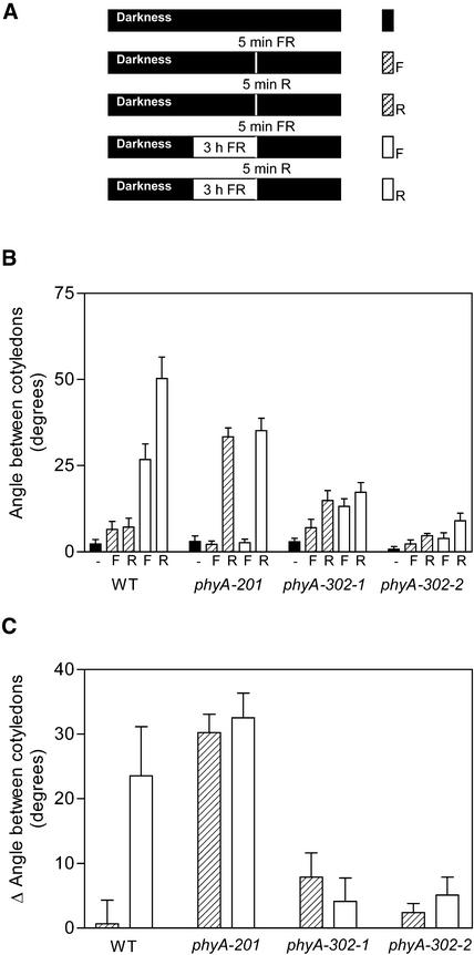 Figure 10.