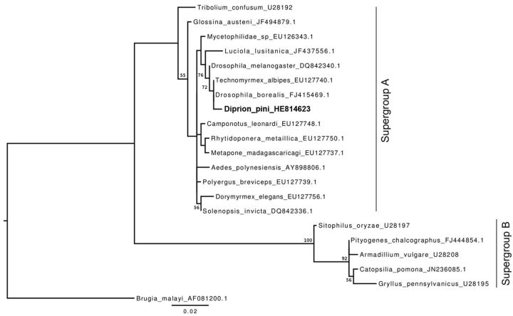 Fig. 2.