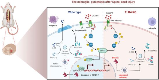 FIGURE 10