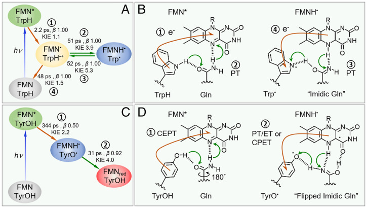 Fig. 6.