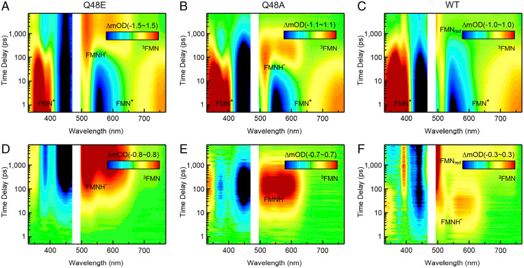 Fig. 2.