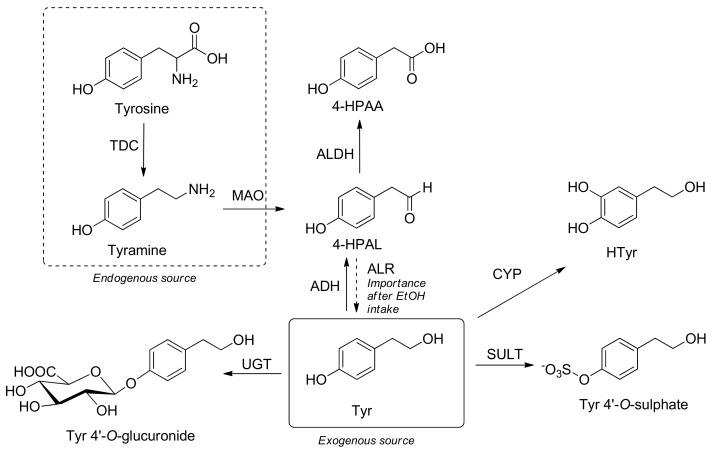 Scheme 4