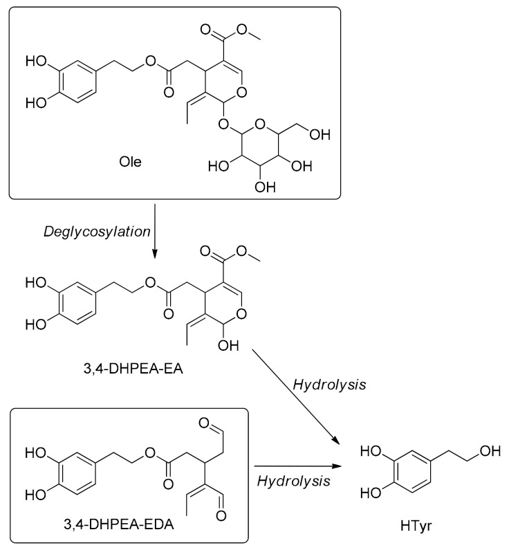 Scheme 5