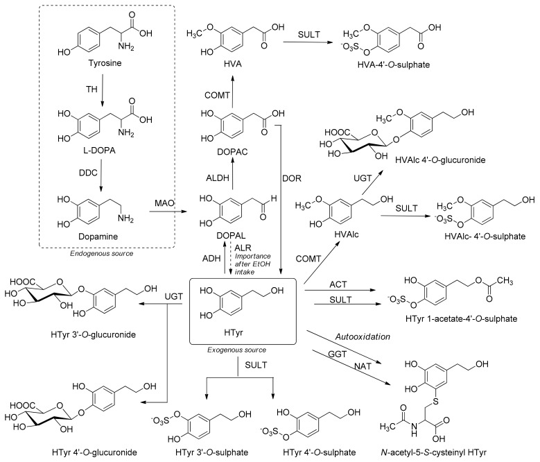 Scheme 2