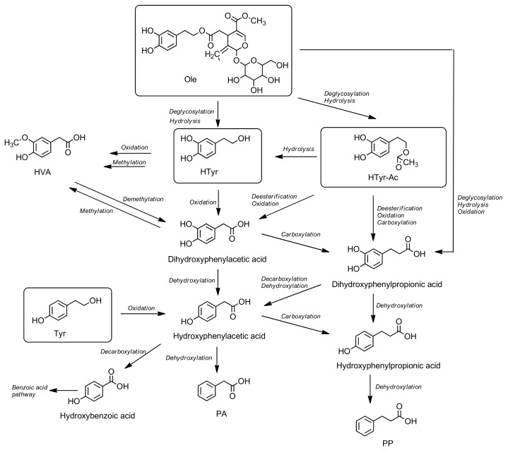 Scheme 3