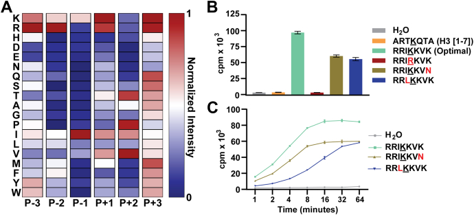 Figure 1