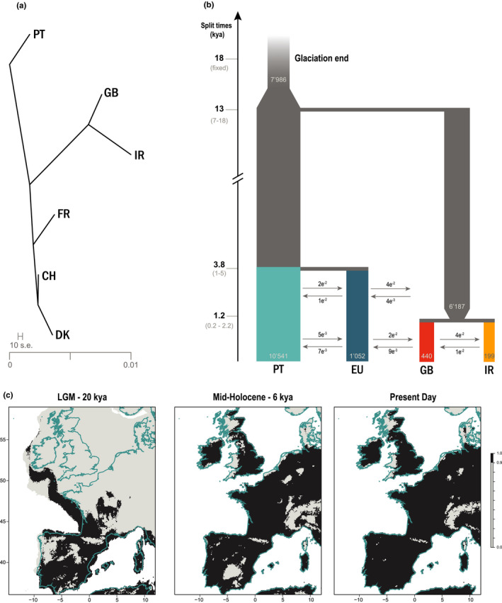 FIGURE 4