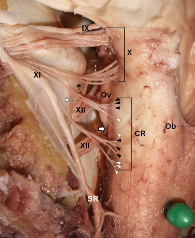 Fig. 3