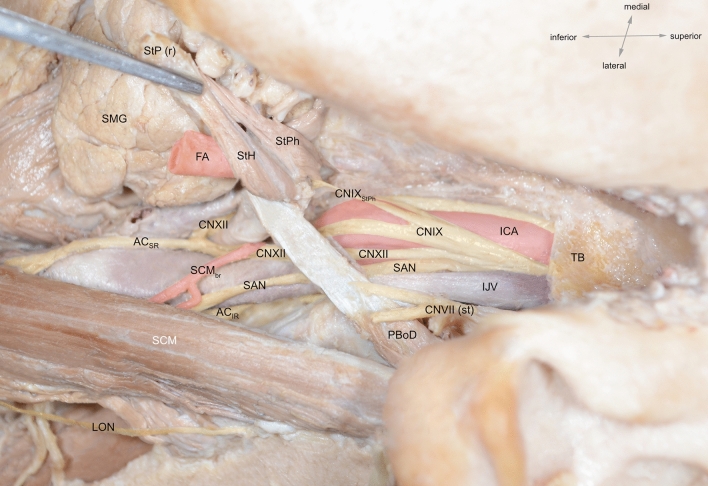 Fig. 8