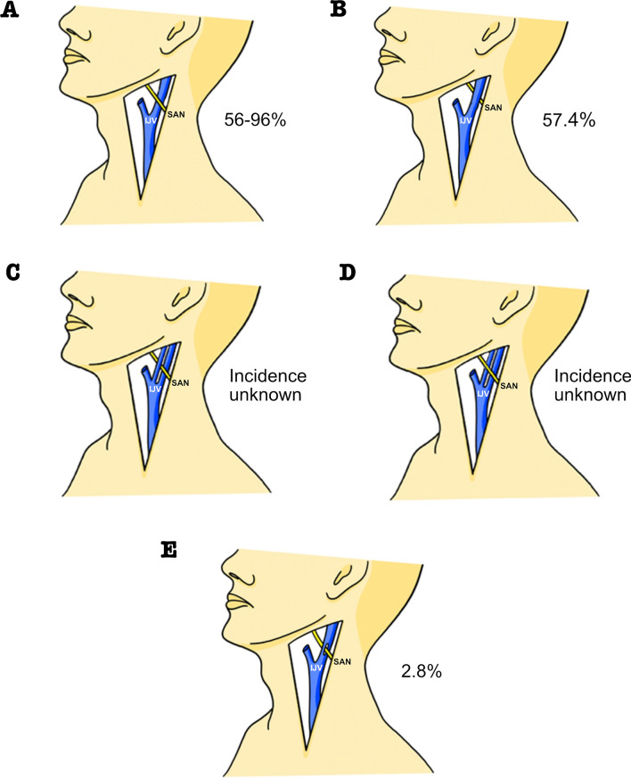 Fig. 7