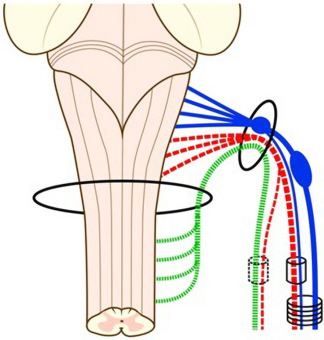 Fig. 12