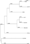 FIG. 7.
