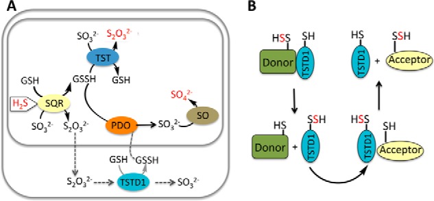 Figure 10.